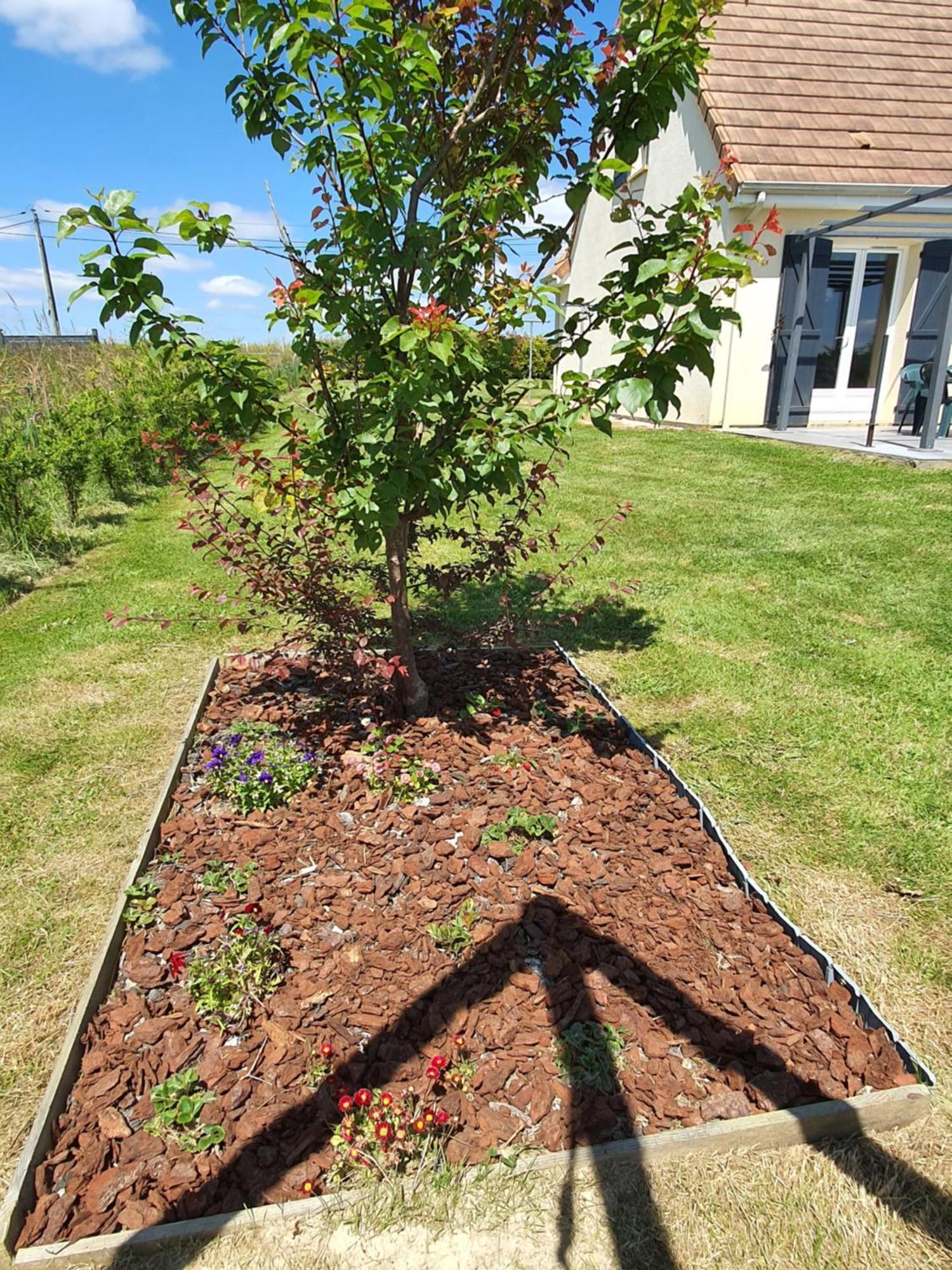 Saint-Antonin-de-Sommaire Villa Familiale Avec Spa Et Sauna מראה חיצוני תמונה